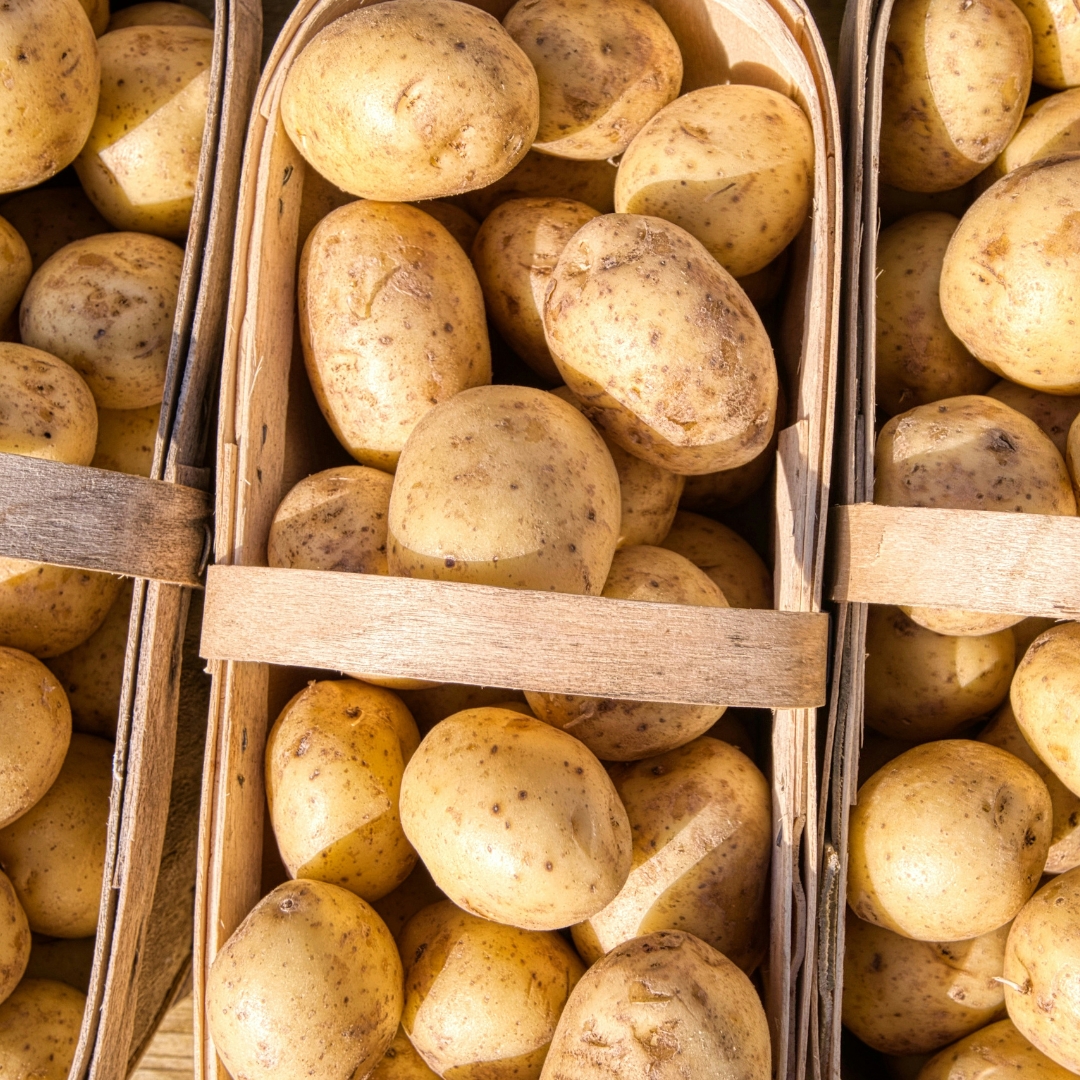 Buy Potatoes - Jersey Benne Online NZ